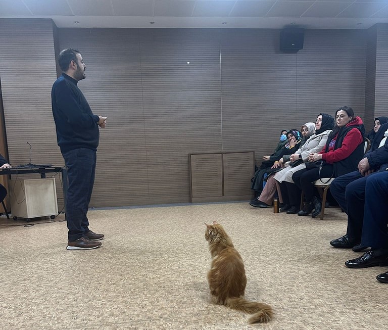 Syk Eğitimleri Devam Ediyor